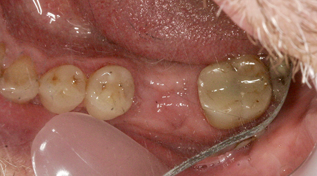 Before - Dr Kit Spears